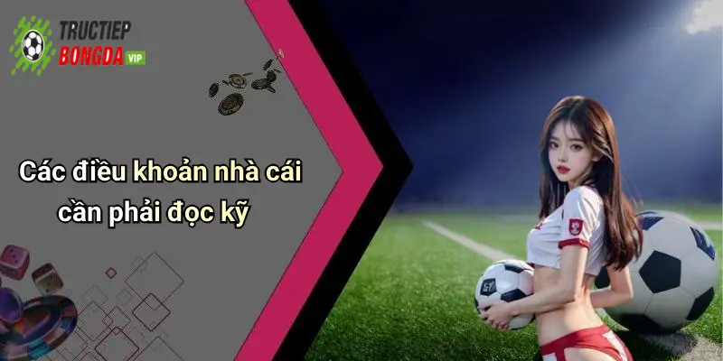 Các điều khoản nhà cái cần phải đọc kỹ