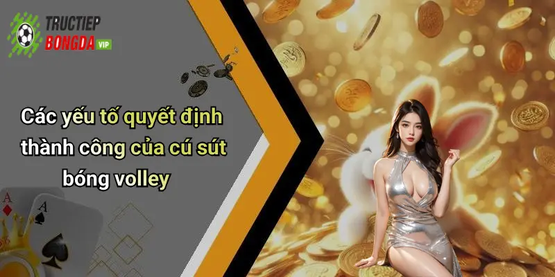Các yếu tố quyết định thành công của cú sút bóng volley