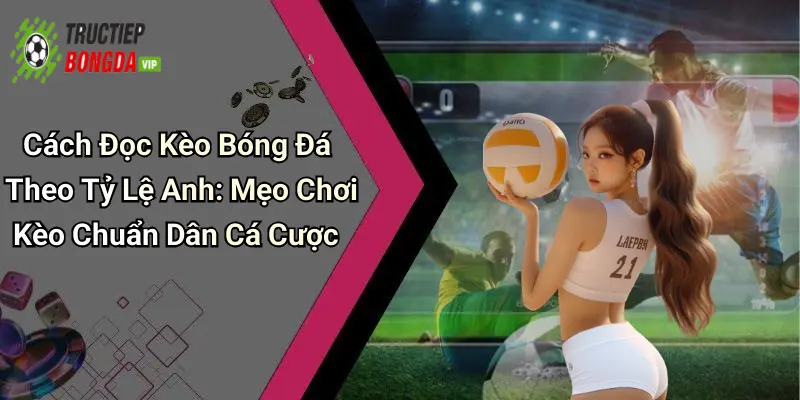Cách Đọc Kèo Bóng Đá Theo Tỷ Lệ Anh: Mẹo Chơi Kèo Chuẩn Dân Cá Cược