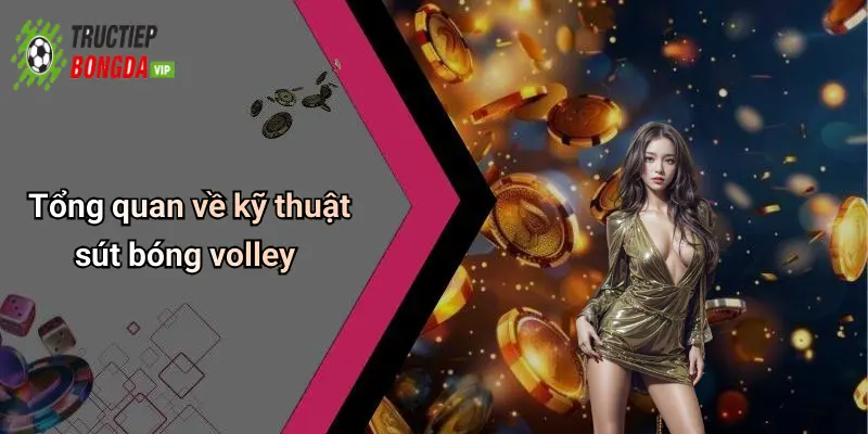 Tổng quan về kỹ thuật sút bóng volley