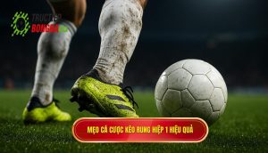 Mẹo cá cược kèo rung hiệp 1 hiệu quả