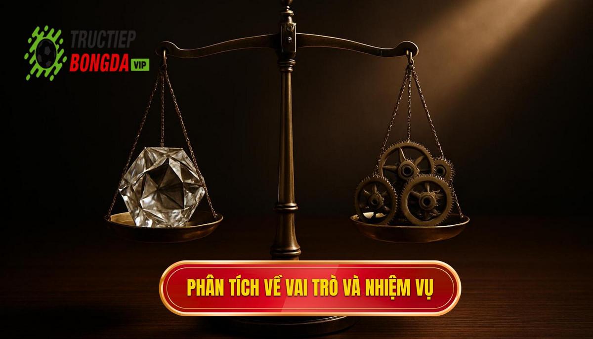 Phân tích Chuyên sâu về Vai trò và Nhiệm vụ