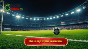 Đẳng cấp TRỰC TIẾP BÓNG ĐÁ chính thống.