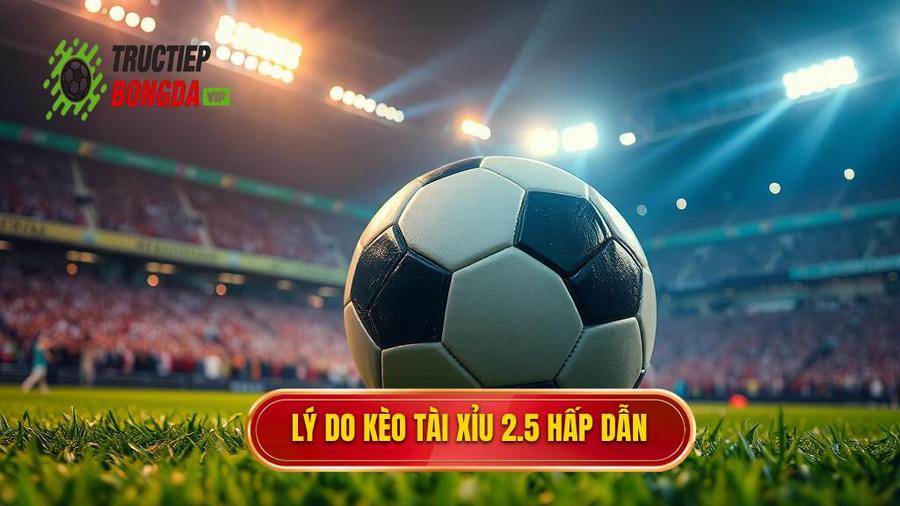 2. Tại sao Kèo tài xỉu 2.5 toàn trận lại được ưa chuộng?