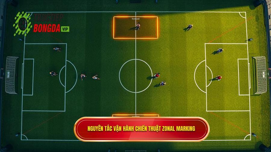 2. Các nguyên tắc cơ bản trong vận hành Zonal Marking