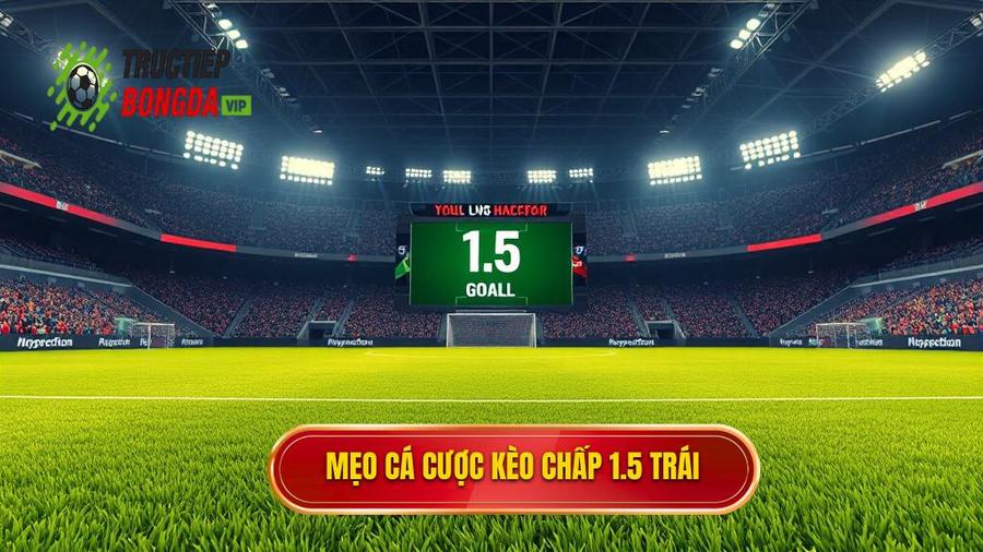 3. Tổng hợp mẹo cá cược kèo chấp 1.5 trái từ cao thủ