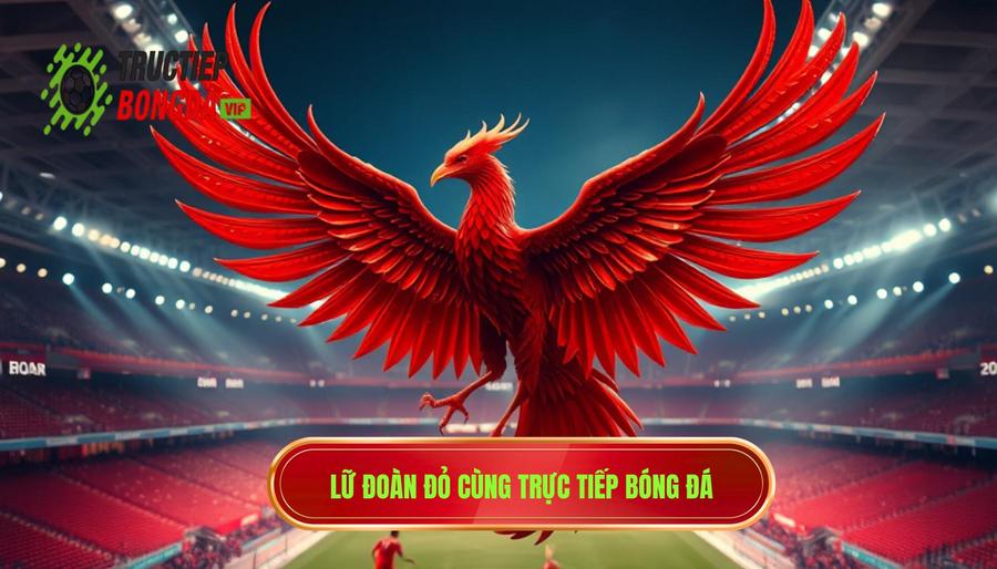 Vì sao Liverpool được gọi là Lữ Đoàn Đỏ? Bí mật biệt danh The Reds